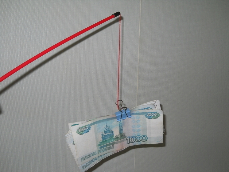 Прикамцы испугались обвинений в терроризме и перевели деньги мошенникам