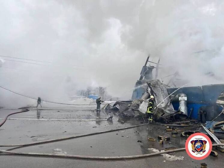 Крупный пожар охватил лакокрасочное предприятие в Ломоносовском районе