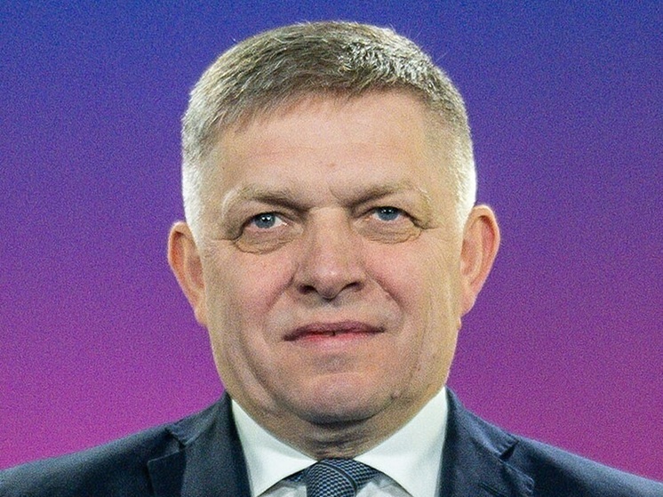 Премьер Словакии Фицо призвал ЕС протрезветь от военного безумия