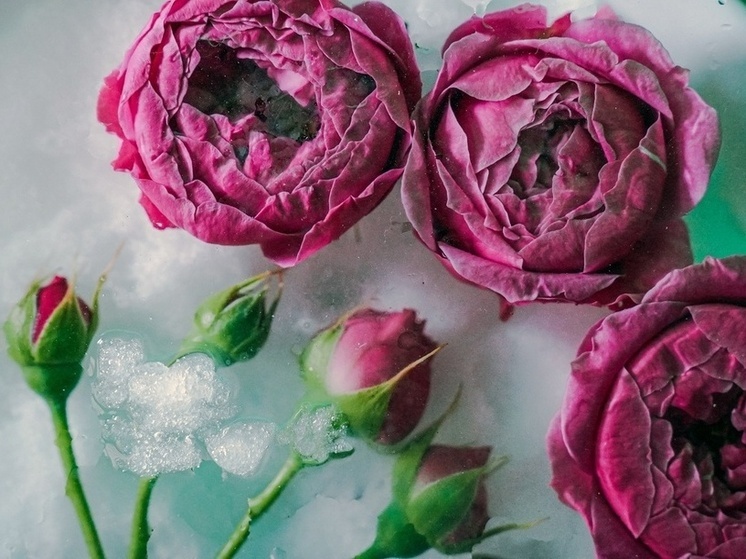 Ученые расписали тулякам, что происходит в организме на первом свидании