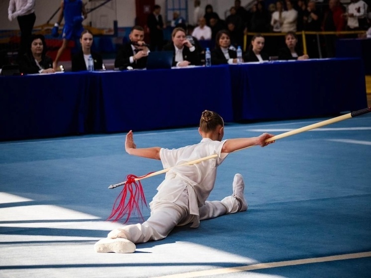 Более 40 золотых медалей завоевали сочинские ушисты на чемпионате и первенстве ЮФО