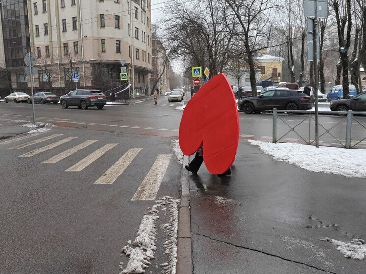 Одиноким петербуржцам дали совет, как не впасть в тоску в День святого Валентина