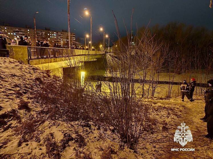 Рядом с мостом через Тьмаку в Твери нашли портфель пропавшего ребенка: идут поисковые работы