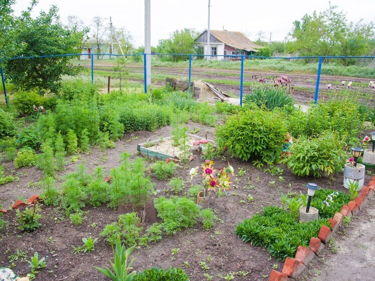 В Волгоградской области с весны изменится порядок сделок с земельными участками