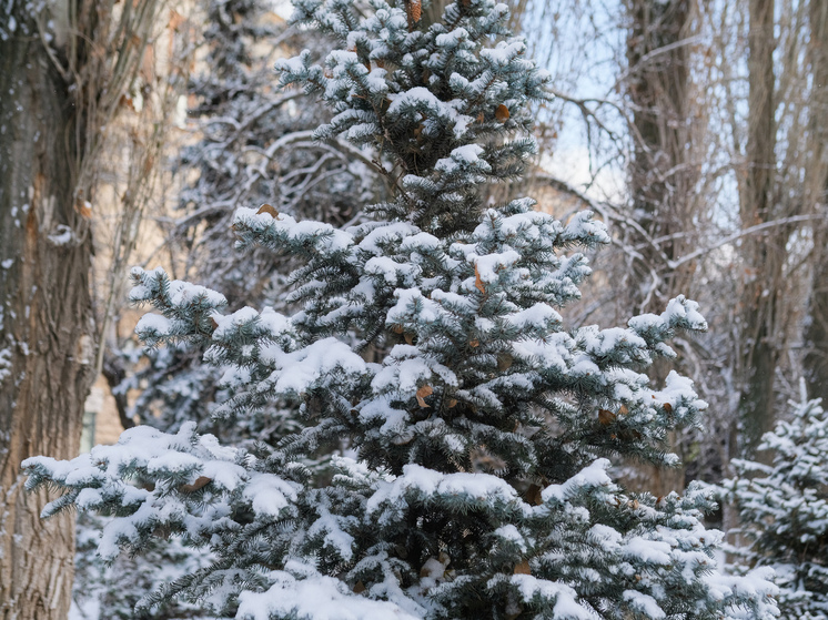 Чего категорически нельзя делать в Трифонов день, 14 февраля