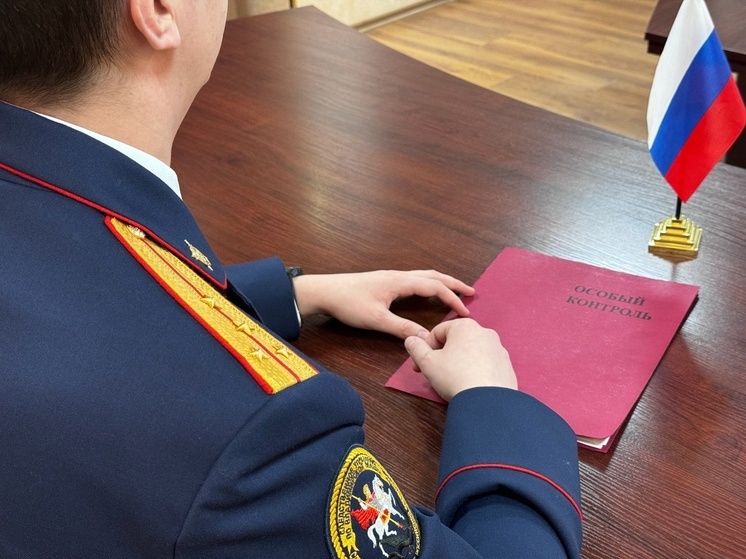 В Коврове девушка-пристав "простила" долги собственному отцу