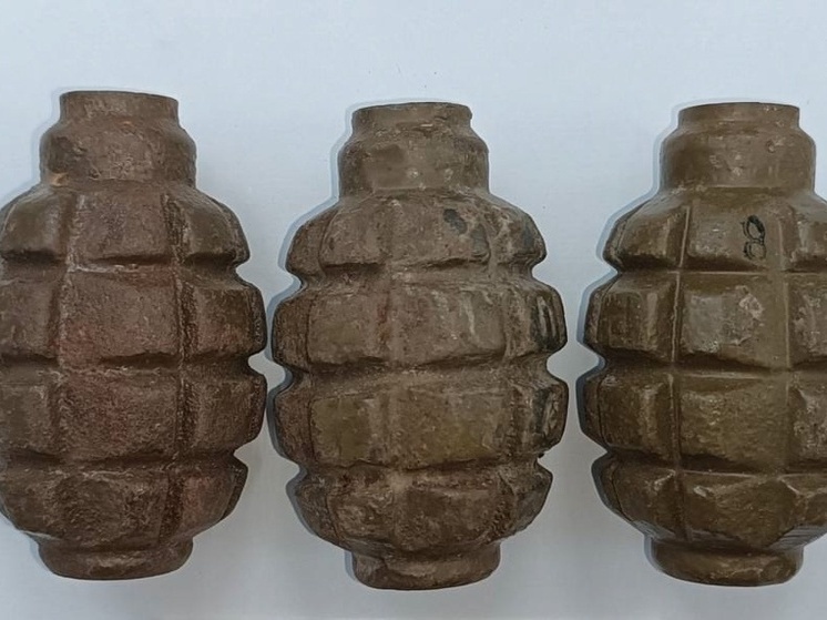 Тайник боеприпасов в лесополосе обнаружили полицейские Запорожья