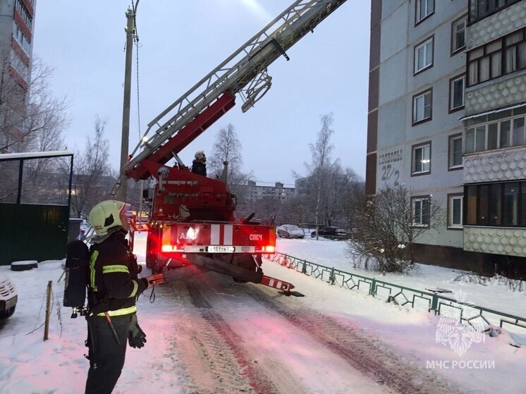 Спасатели эвакуировали новгородца с балкона горящей квартиры на улице Свободы