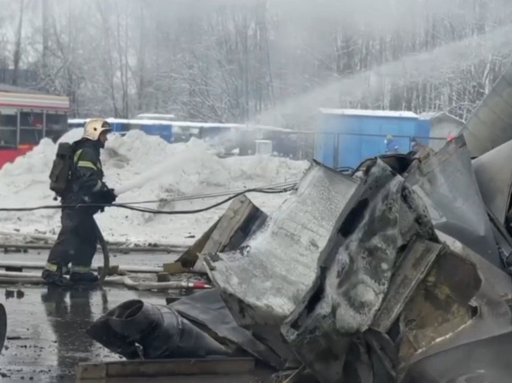 На пожаре в промзоне Горелово пострадал человек