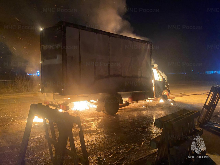 Спасатели назвали причину возгорания грузовика под Боровском
