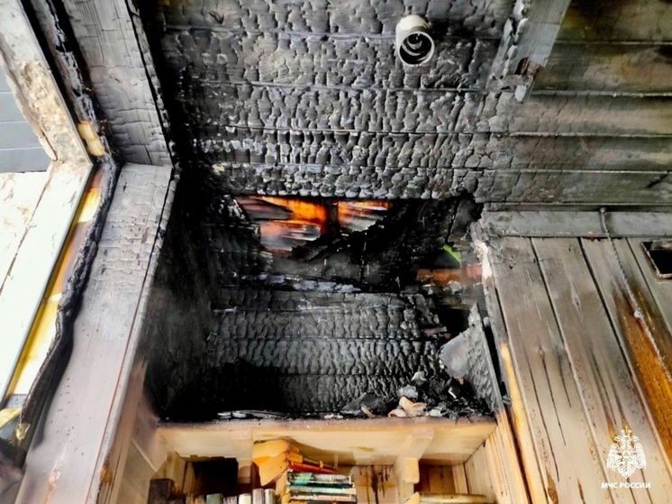 Пожарные спасли кота в Гдовском районе