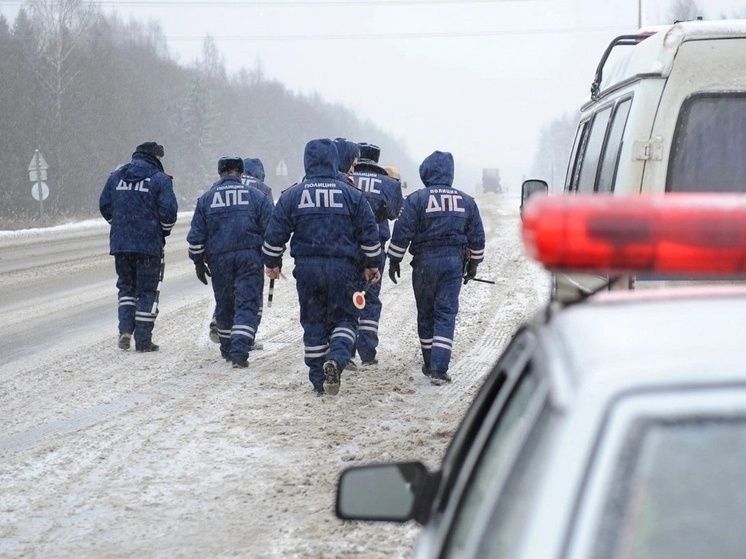 Тамбовские автоинспекторы в День влюблённых проведут рейд