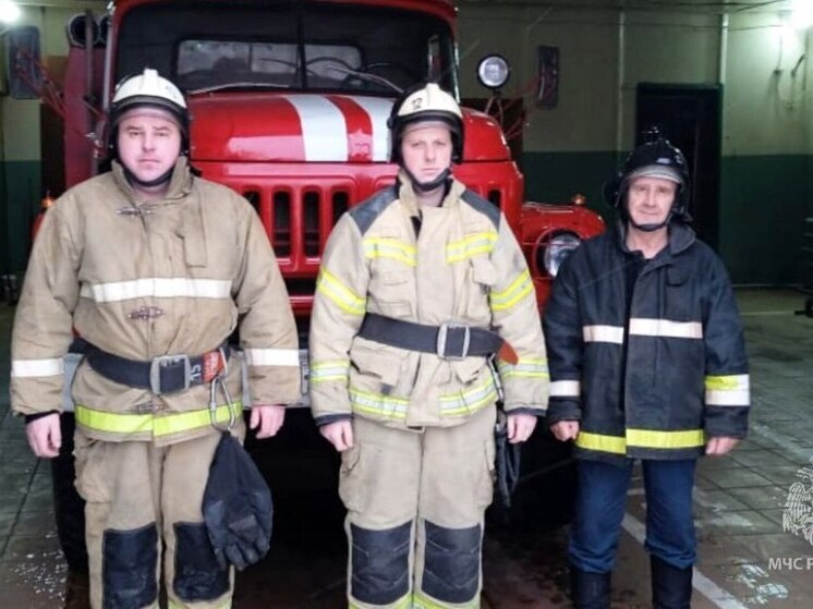 Специалисты МЧС предотвратили аварию на железной дороге в Дедовичах