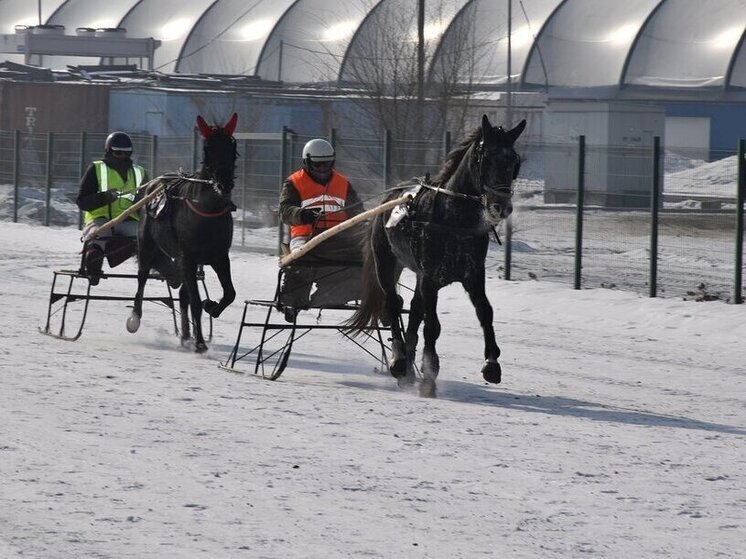 В Хакасии День защитника Отечества отметят патриотическим фестивалем