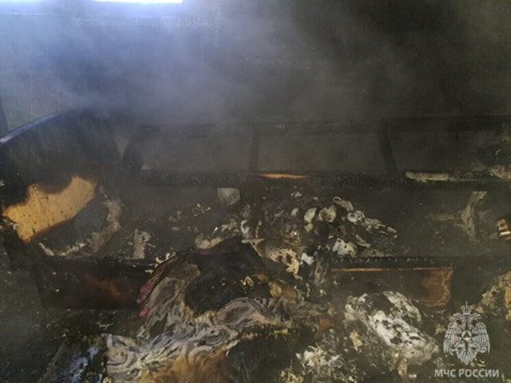 В ЕАО жильцы двухквартирного дома тушили пожар снегом