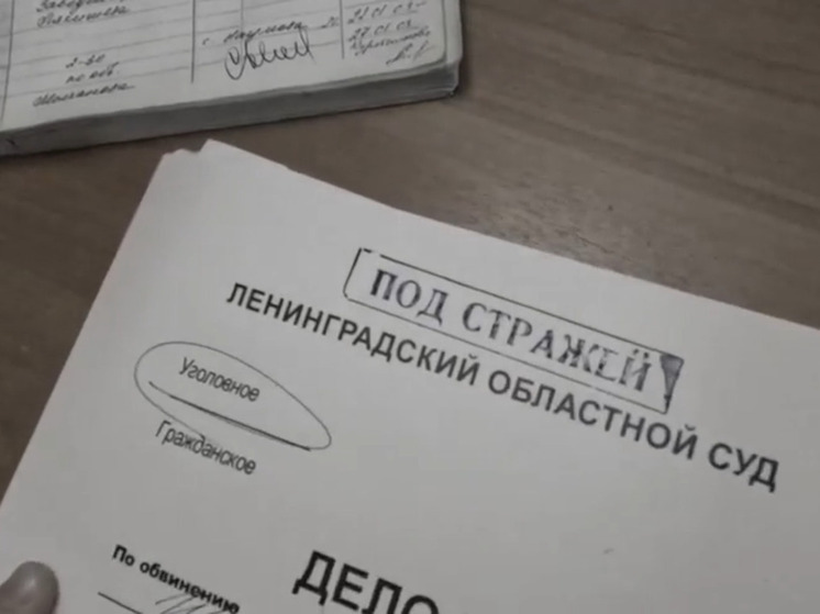 В Ленобласти будут судить петербуржца за похищение человека и вымогательство