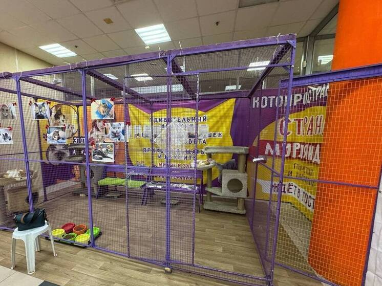 В Сосновом Бору проверили деятельность зоопарка без лицензии