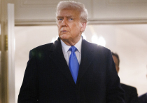 Ждать, когда же «цивилизованные люди» объявят Трампа диктатором, долго не пришлось