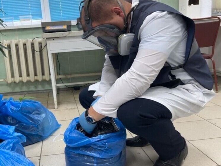 Злоумышленница легализовала доход от торговли запрещенными веществами на 1 500 000 рублей