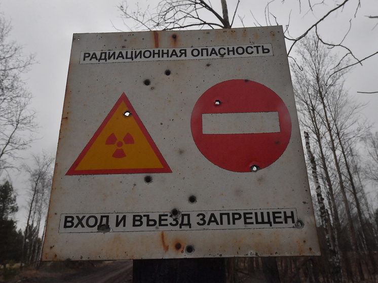 Украинская делегация на конференции в Мюнхене обвинила Россию в повреждении саркофага Чернобыльской АЭС