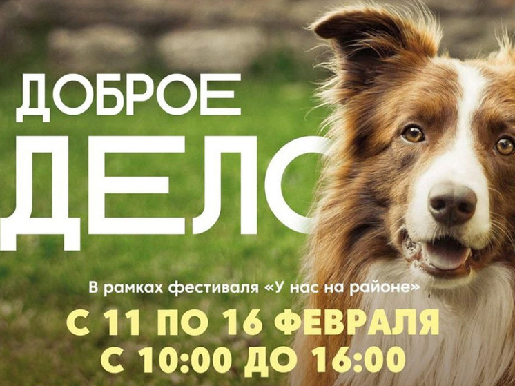 Марафон добрых дел проходит в Сургутском районе
