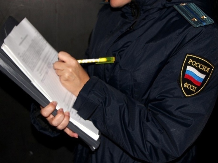 Судебные приставы назвали рейтинг причин задолженностей в Забайкалье