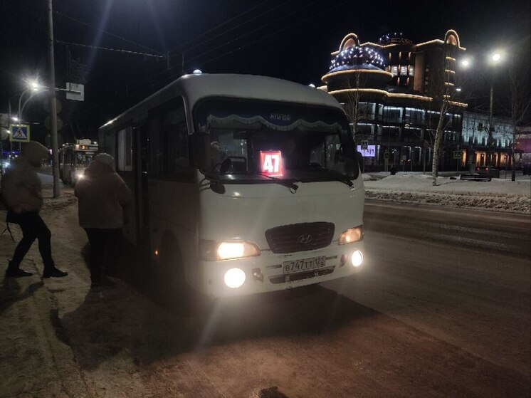 «Ноги вырву»: водитель маршрутки наорал на подростка и выгнал из газели
