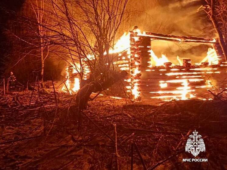 В деревне Тверской области огонь уничтожил бесхозный дом