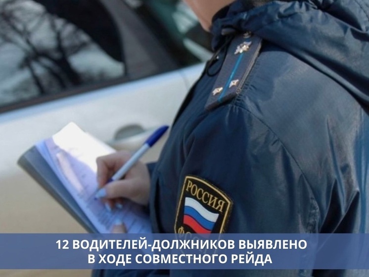 Рейд судебных приставов и автоинспекторов в Липецке выявил 12 должников