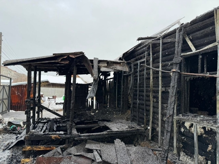 Маломобильный мужчина погиб при пожаре в Шадринске