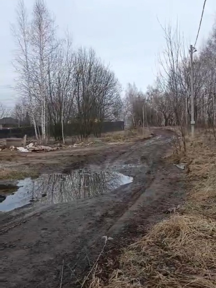 В калужской деревне Некрасово мечтают о дороге