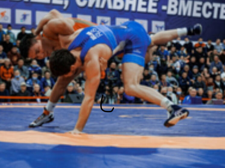 Чемпионат Дальневосточного федерального  по спортивной борьбе пройдет в Якутске