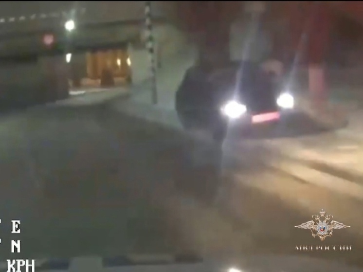 В Липецкой области автоинспекторы стреляли по колёсам, чтобы остановить авто