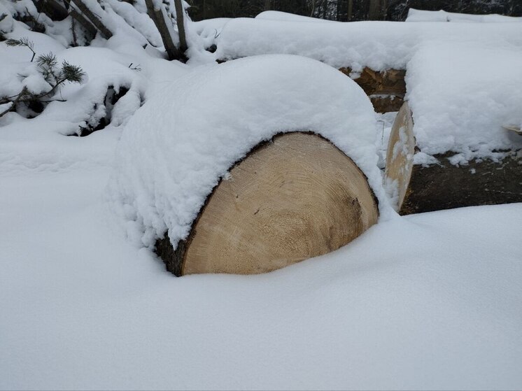 Алексей Орлов сообщил, что застройщик березовой рощи устранил недостатки