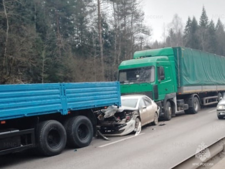Под Малоярославцем большегрузы смяли легковушки
