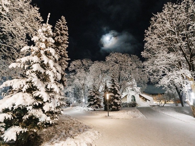 До -14 градусов опустится температура в Псковской области 15 февраля