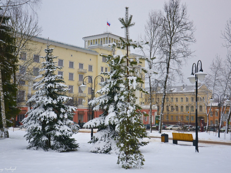 15 февраля на Смоленщине ночью ожидаются небольшие заморозки