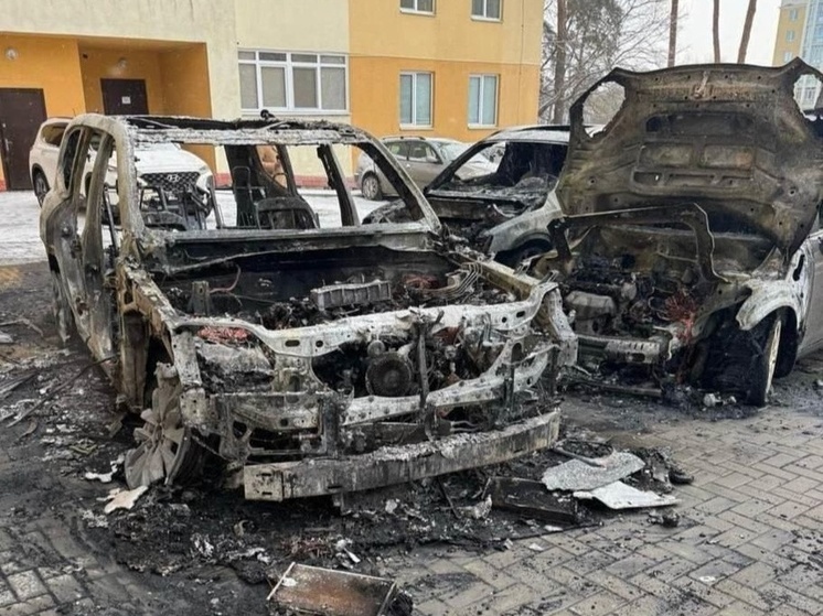 Возле ЖК в Киеве сожгли три автомобиля