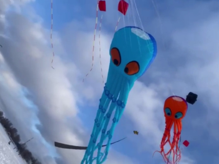 В Мытищах над пляжем Подрезово запустили осьминогов и драконов