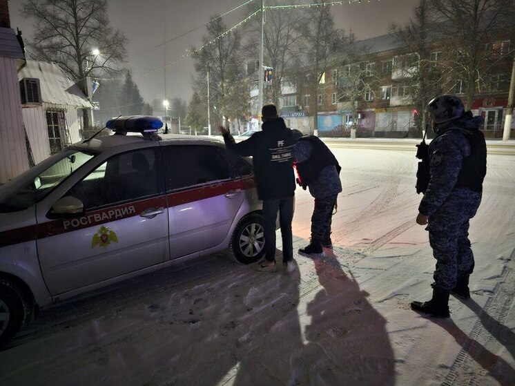 Хулигана, бившего стекла в магазине, поймали в Донском росгвардейцы