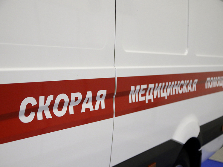 Два человека погибли в автоаварии в Подмосковье
