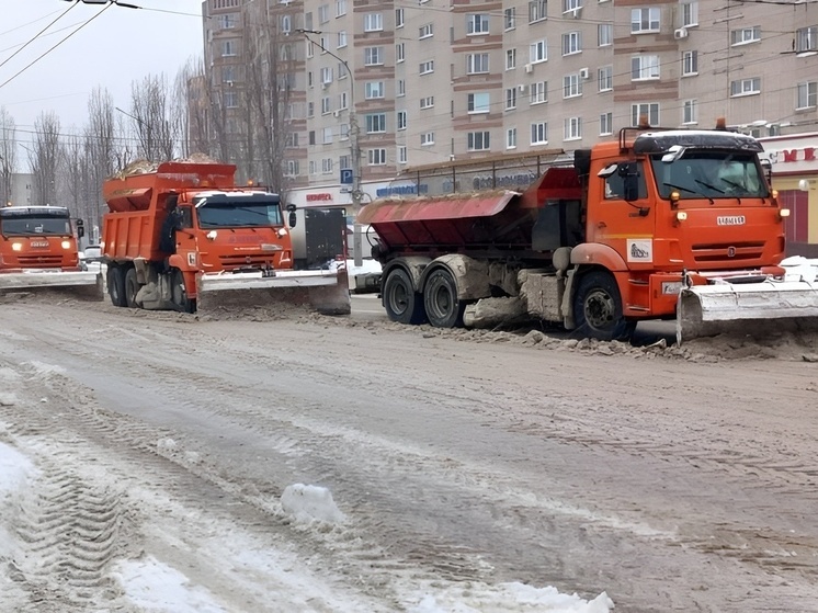 Воронежцев попросили не парковаться вдоль дорог из-за уборки снега