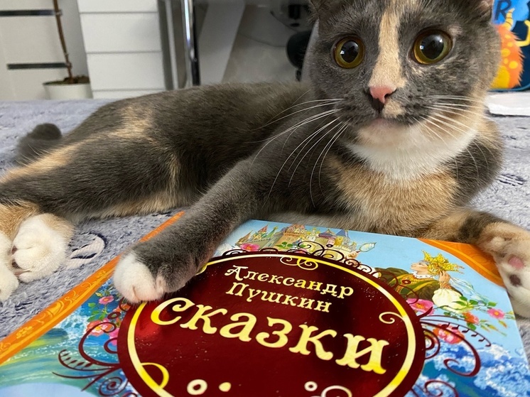 Калужане хвастаются питомцами в соцсетях главы Калуги