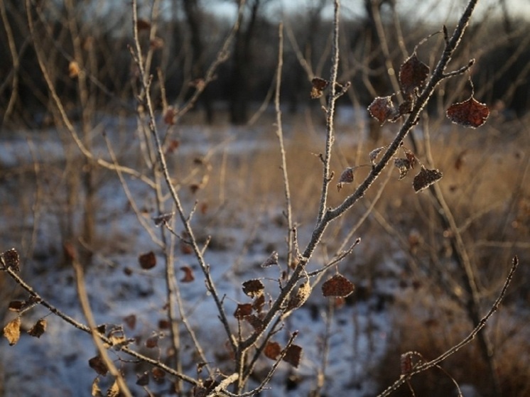 Жителей Астраханской области предупредили о желтом уровне погодной опасности