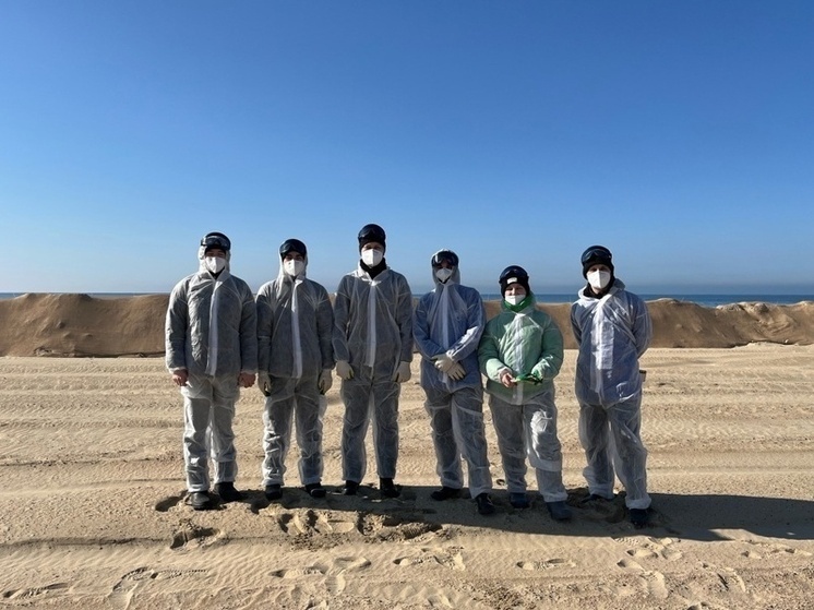 Молодые волонтеры из Чувашии помогают в очистке пляжей Черного моря от мазута