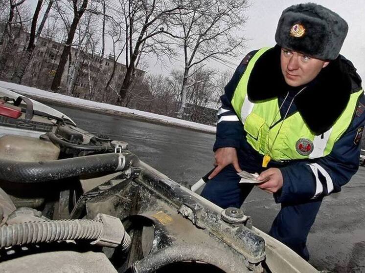 Выбор автомобиля: что важнее, мощность или крутящий момент