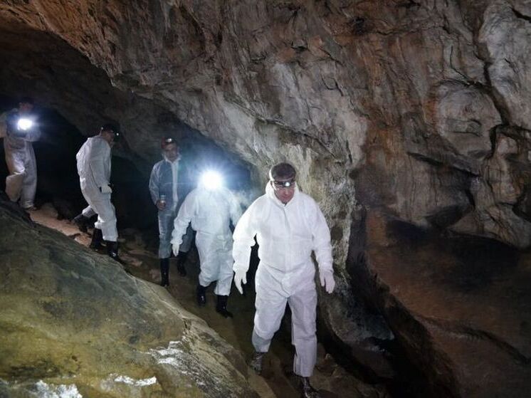 Пещера Шульган-Таш из Башкирии может стать всемирным наследием ЮНЕСКО