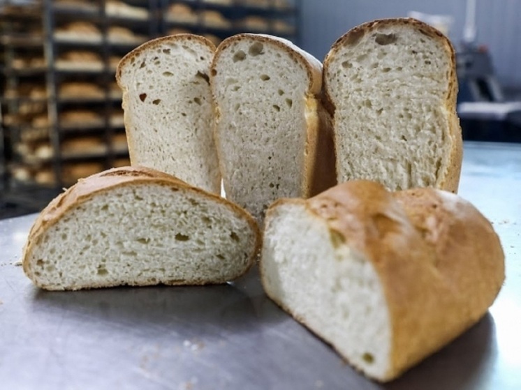 Волгоградцам объяснили, как лучше всего хранить хлеб дома