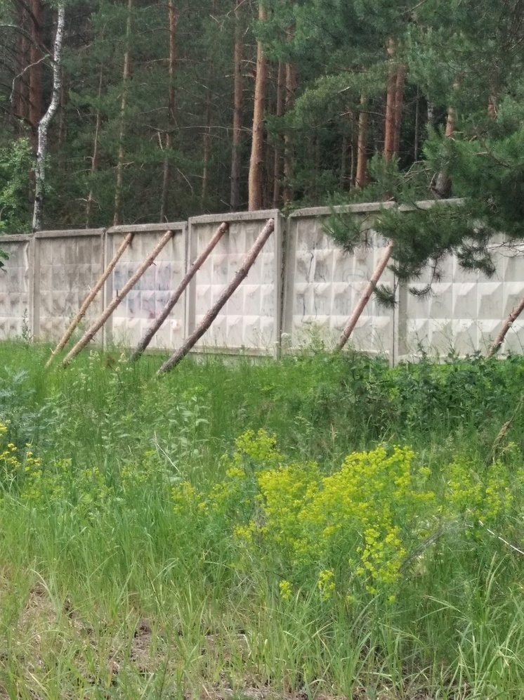 Под Калугой предлагают восстановить детские лагеря