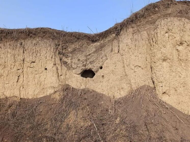 На предпринимателя из Северной Осетии завели дело о повреждении могильника